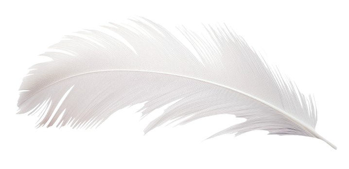 Plume legere